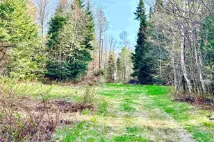 40 Griffin Rd, Stewartstown, NH 03576 - Photo 34