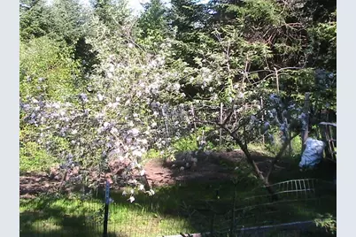 17 Plateau Road, Stewartstown, NH 03597 - Photo 20