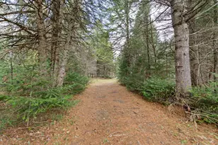 501 Route 26 W, Millsfield, NH 03579 - Photo 54