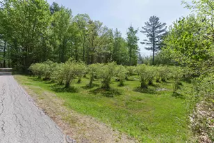 49 Moss Rd, Hopkinton, NH 03229 - Photo 46