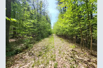390 Matthews Road #6, Alexandria, NH 03222 - Photo 20