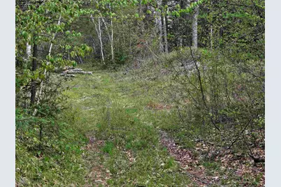 Lot 10.1 Wallace Hill Road, Franconia, NH 03580 - Photo 32