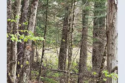 Lot 10.1 Wallace Hill Road, Franconia, NH 03580 - Photo 30