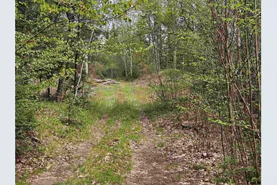 Lot 10.1 Wallace Hill Road, Franconia, NH 03580 - Photo 24