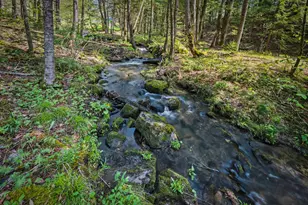 192 Mill Brook Rd, Landaff, NH 03585 - Photo 42
