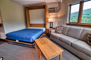 90 Loon Mountain Dr, Lincoln, NH 03251 - Photo 8