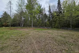 317 Potato Rd, Enfield, NH 03748 - Photo 6