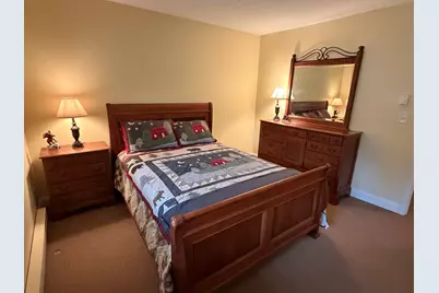 3 Windsor Hill Way #D33, Waterville Valley, NH 03215 - Photo 20