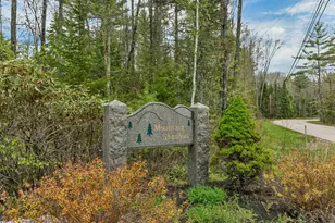 7 Lyndsay Ln, Tuftonboro, NH 03816 - Photo 44