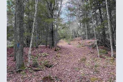 37 Maple Road, Canaan, NH 03741 - Photo 32