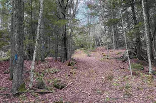 37 Maple Rd, Canaan, NH 03741 - Photo 32