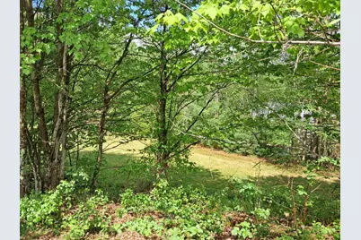 764 Nh Route 3A, Hill, NH 03243 - Photo 54