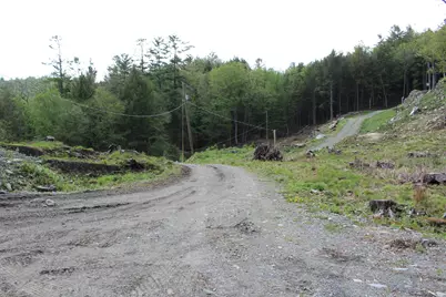 Lot 23/24 Wetherbee Road, Lyman, NH 03585 - Photo 20