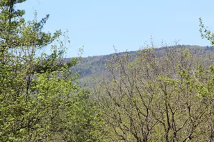 Lot 23 24 Wetherbee Rd, Lyman, NH 03585 - Photo 1