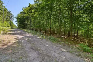 Lot 7 Parsons Rd, Freedom, NH 03826 - Photo 4