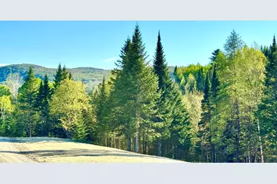 Lot 8 Gulch Brook Road, Stewartstown, NH 03576 - Photo 12
