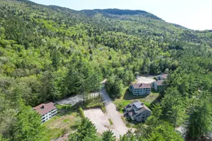 14E Seasons At Attitash Rd, Bartlett, NH 03812 - Photo 34