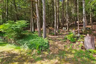 325 Pako Ave, Keene, NH 03431 - Photo 10