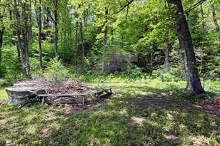 1057 Brockway Mls Rd, Springfield, VT 05156 - Photo 30