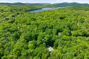 19 Hummingbird Hill, Grantham, NH 03753 - Photo 48