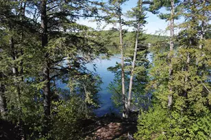 60 Pinnacle Park Rd, Meredith, NH 03253 - Photo 10