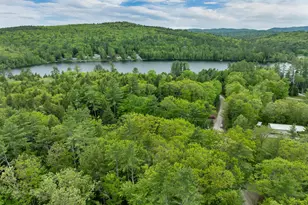 34 Hollings Rd, Webster, NH 03303 - Photo 14