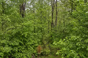 134 Ellsworth Pond Rd, Ellsworth, NH 03223 - Photo 24