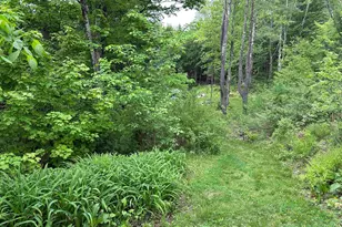 130 Village Rd, Langdon, NH 03602 - Photo 48