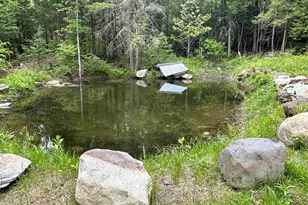130 Village Rd, Langdon, NH 03602 - Photo 54