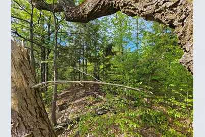 Lot 26 Province Road, Belmont, NH 03220 - Photo 22