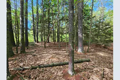 Lot 26 Province Road, Belmont, NH 03220 - Photo 8