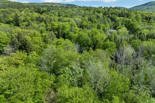 81 Ramblewood Cir, Newbury, NH 03255 - Photo 38