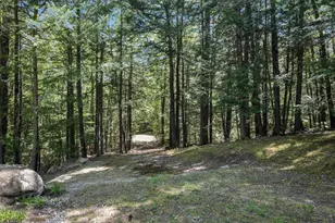 18 Walker Pond Rd, Conway, NH 03818 - Photo 56