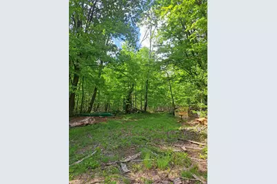 81 Hart Farm Road, Deering, NH 03244 - Photo 4