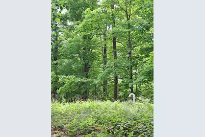 81 Hart Farm Road, Deering, NH 03244 - Photo 6