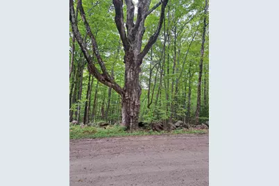 81 Hart Farm Road, Deering, NH 03244 - Photo 16