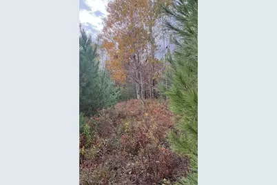 Lot 4 Catterall Road, Lisbon, NH 03585 - Photo 6