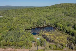 140 Mountain View Rd, Deerfield, NH 03037 - Photo 50
