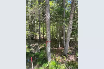 M14 L56 Taylor Circle, Washington, NH 03280 - Photo 6
