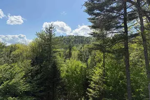 83 Tabor Cir, Albany, NH 03818 - Photo 42