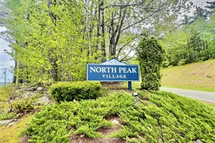 19 North Peak Village Rd, Newbury, NH 03255 - Photo 32
