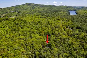 338 Middleton Rd, Wolfeboro, NH 03894 - Photo 4