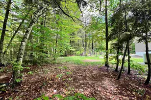 123 Cross Rd, Deering, NH 03244 - Photo 24