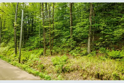 Lot 67 Camp Brook Road, Alstead, NH 03602 - Photo 2