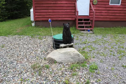 49 Pond Outlet Road, Millsfield, NH 03576 - Photo 38