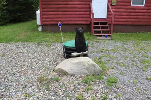 49 Pond Outlet Rd, Millsfield, NH 03576 - Photo 38