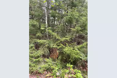 Map 8 Lot 29 Martin Road, Washington, NH 03280 - Photo 18