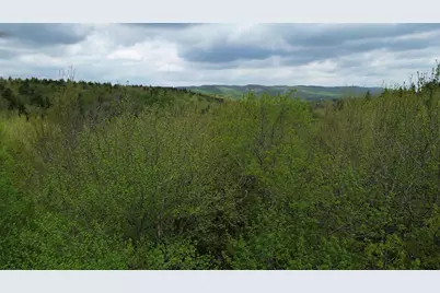 Map 8 Lot 29 Martin Road, Washington, NH 03280 - Photo 2