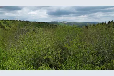 Map 8 Lot 29 Martin Road, Washington, NH 03280 - Photo 1