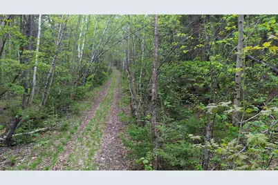 Map 8 Lot 29 Martin Road, Washington, NH 03280 - Photo 12